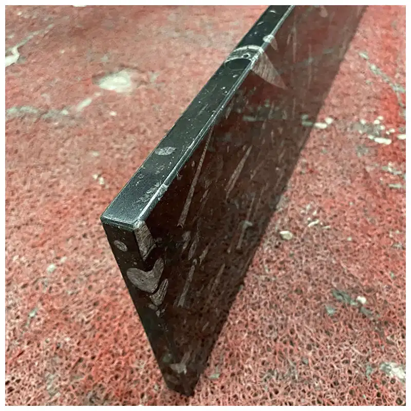 Fossil Black Marble Cut-to-Size Tiles